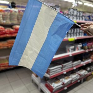 BANDERA ARGENTINA CON PALITO